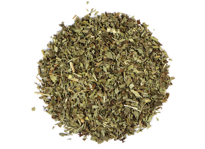 Lemon Balm (Melissa Officinalis)