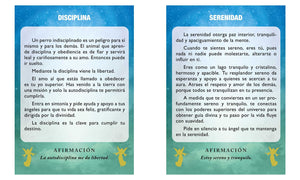 Los ángeles de luz Cartas de bolsillo