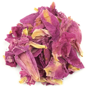 Peony (Paeonia Officinalis)