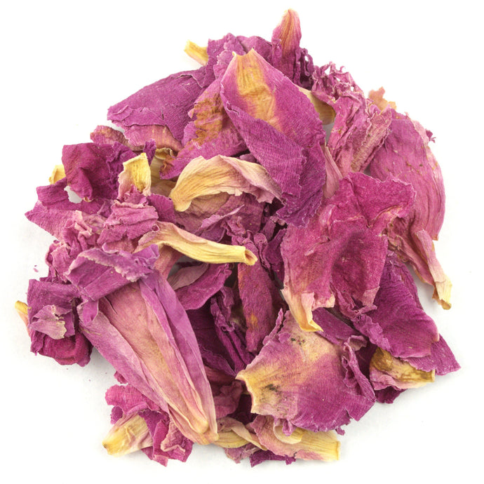 Peony (Paeonia Officinalis)