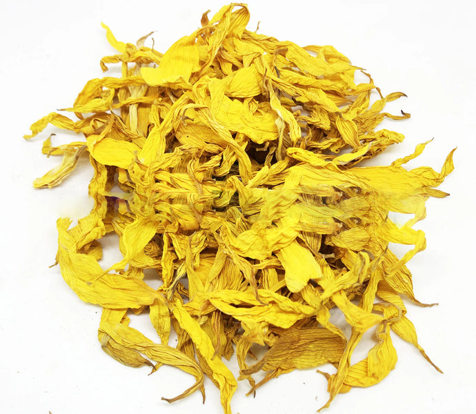 Sunflower Petals (Helianthus Annuus)