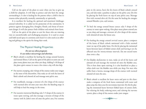 The Divine Nature of Plants: A Medical Intuitive's Guide to Plant Spirit Medicine