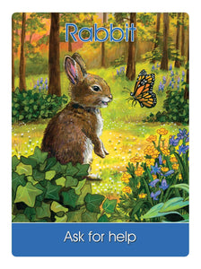 Children's Spirit Animal Cards: 24 Cards and 92 Page Author's Guidebook