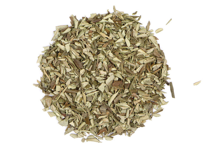 Olive Leaf (Olea Europaea)