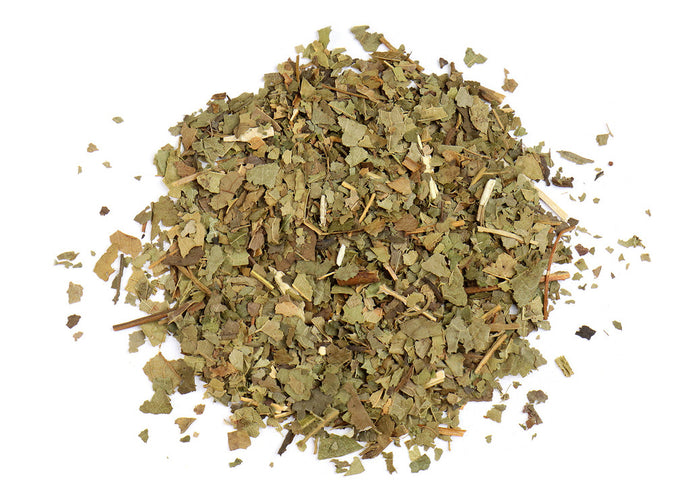 Sassafras Leaf (Sassafras Albidum)