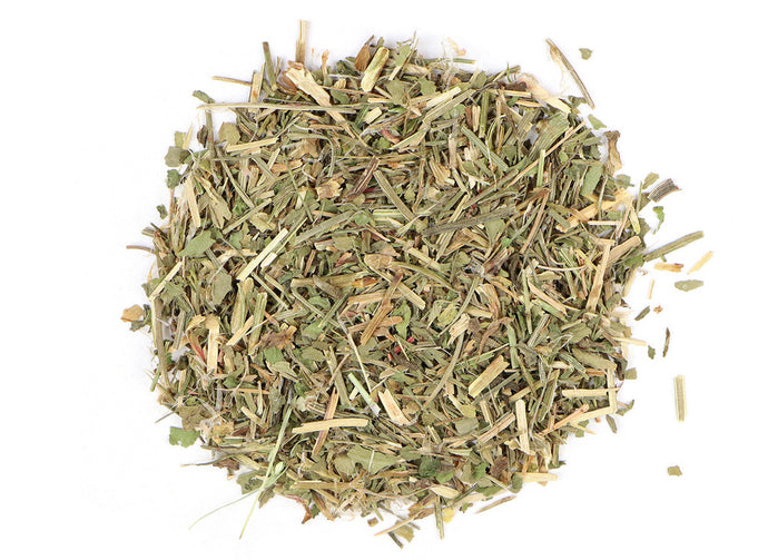 Sheep Sorrel (Rumex Acetosella)
