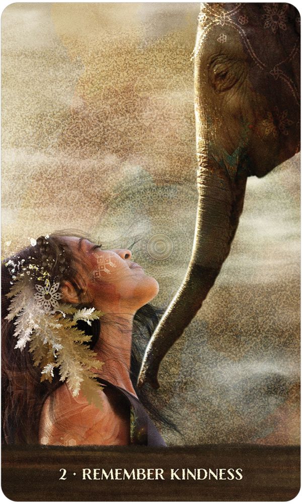 Wild Woman Rising – The Mind's Eye II
