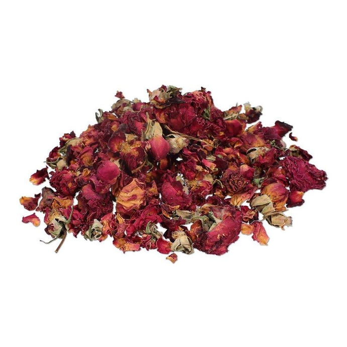 Rose Buds (Rosa Centifoila)