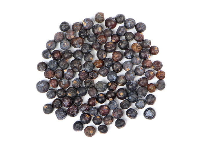 Juniper Berry (Juniperus Communis)